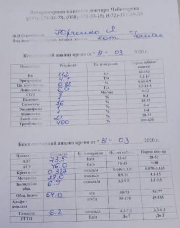 анализы Томаса анализы Томаса