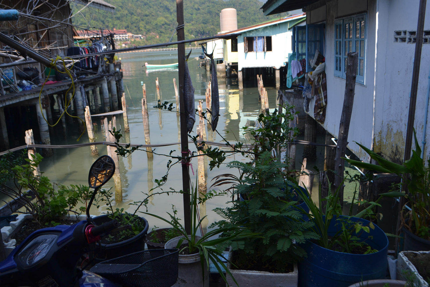 2020-01 Чанг сж (2187)