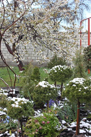 Чайная беседка