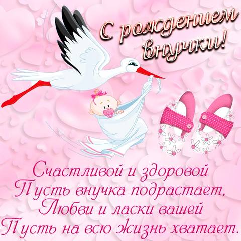 Tapтaлeтки & Ко