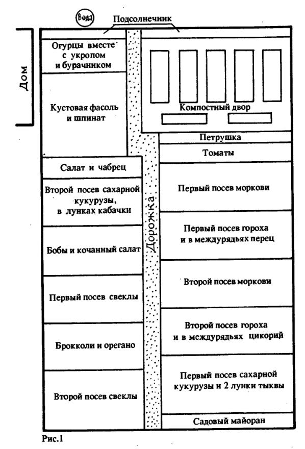 Возьмите шефство над новичком (садоводом-огородником)