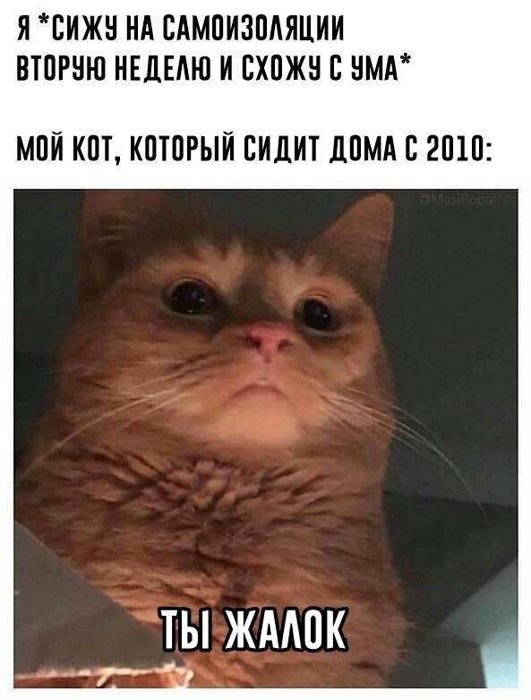 h2YpQSWQigg h2YpQSWQigg