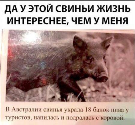 30259284_m.jpg