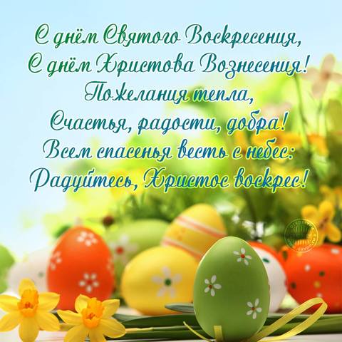 Tapтaлeтки & Ко