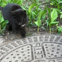 VFL.RU - ваш фотохостинг