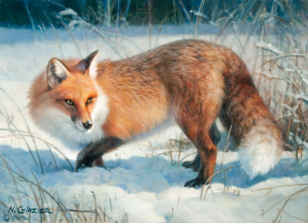 winter-fox-nancy-glazier