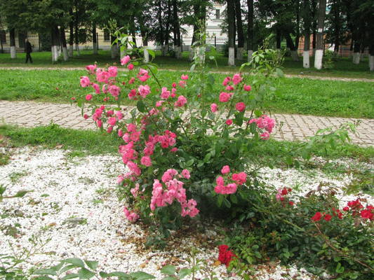 VFL.RU - ваш фотохостинг VFL.RU - ваш фотохостинг