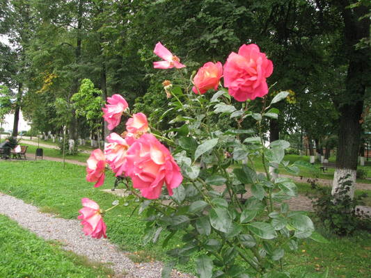 VFL.RU - ваш фотохостинг VFL.RU - ваш фотохостинг