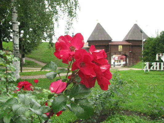 VFL.RU - ваш фотохостинг VFL.RU - ваш фотохостинг