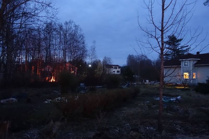 Самоизоляционные зарисовки Самоизоляционные зарисовки