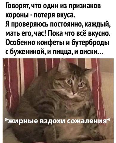 30334742_m.jpg