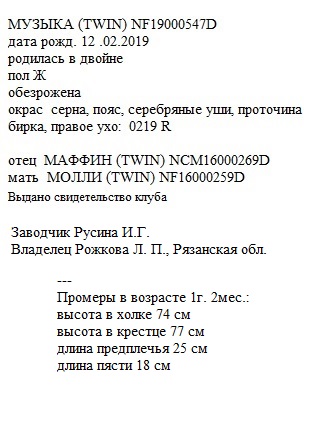 Музыка анк Ирина Русина