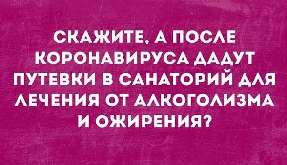 Новости Новости