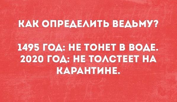 Новости Новости