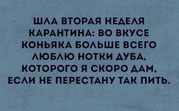 Новости Новости
