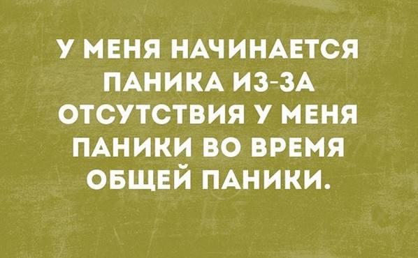 Новости Петербурга Новости Петербурга