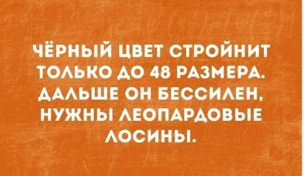 Новости Петербурга Новости Петербурга