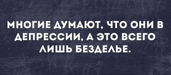 Новости Петербурга Новости Петербурга