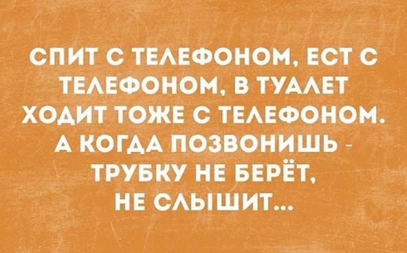 Новости Петербурга Новости Петербурга