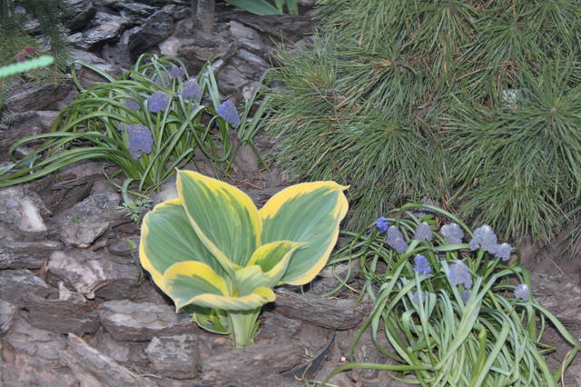 Чайная беседка