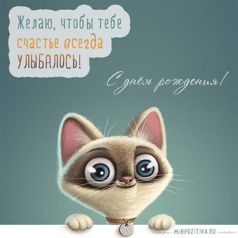 Tapтaлeтки & Ко