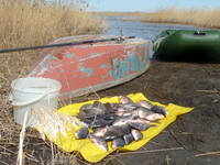 VFL.RU - ваш фотохостинг