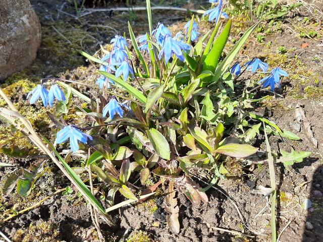 Tapтaлeтки & Ко