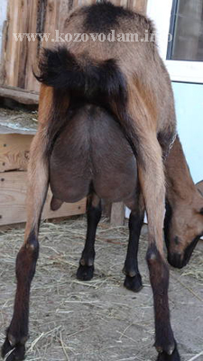 Сваля 3 ЛПХ Смирновских