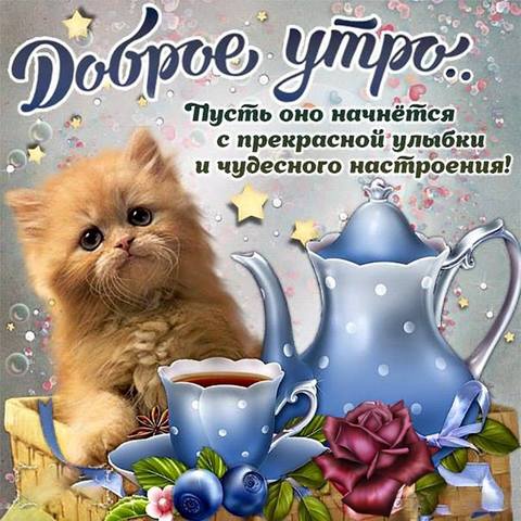 Tapтaлeтки & Ко