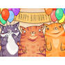 birthday cats dribbble
