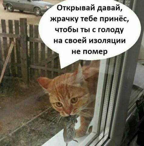 Посмеялся сам - поделись с другом!!!