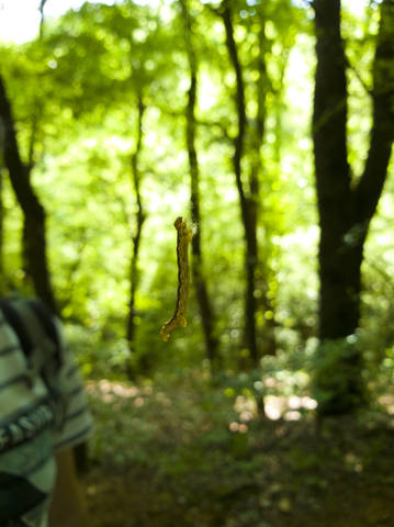 Публикувано изображение