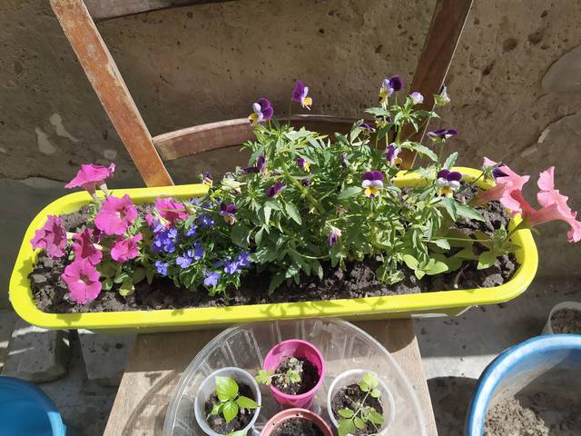 Чайная беседка