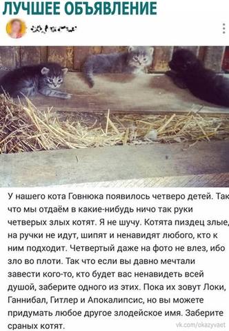Кто сказал "Мяу"?