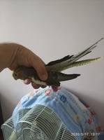 VFL.RU - ваш фотохостинг