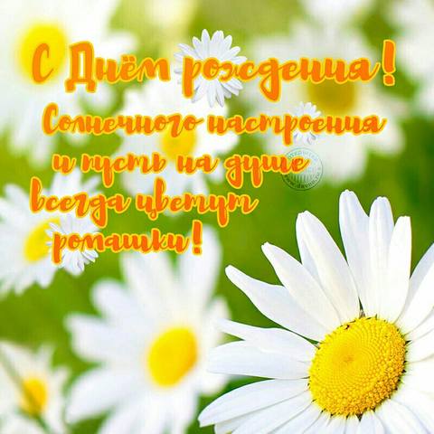 Tapтaлeтки & Ко