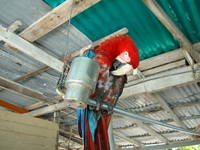 VFL.RU - ваш фотохостинг