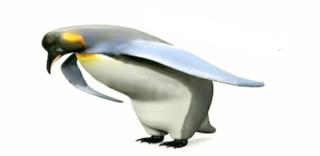 ������������� ��������