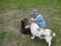 VFL.RU - ваш фотохостинг