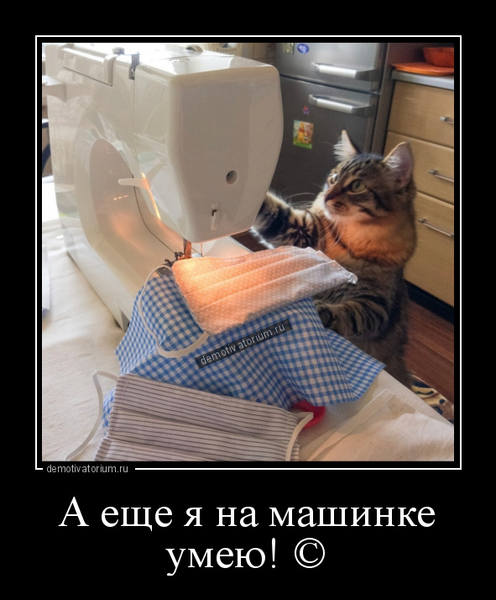 http://images.vfl.ru/ii/1589909471/f0b5013b/30559238.jpg