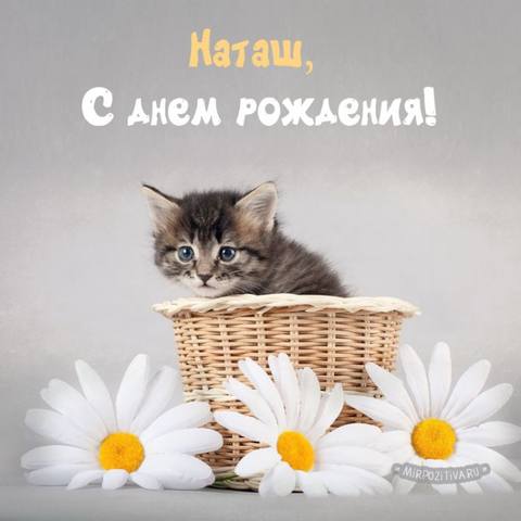 http://images.vfl.ru/ii/1589973681/62532f56/30565437_m.jpg
