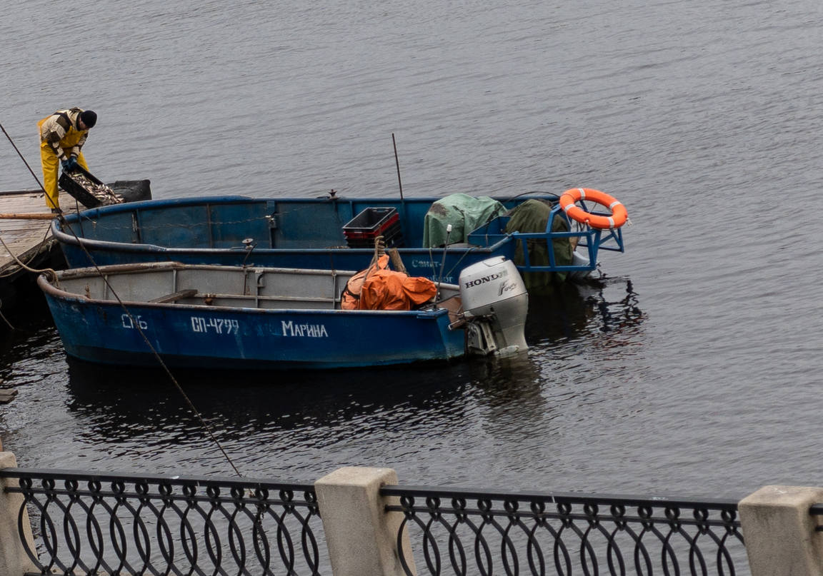 Корюшка короб2