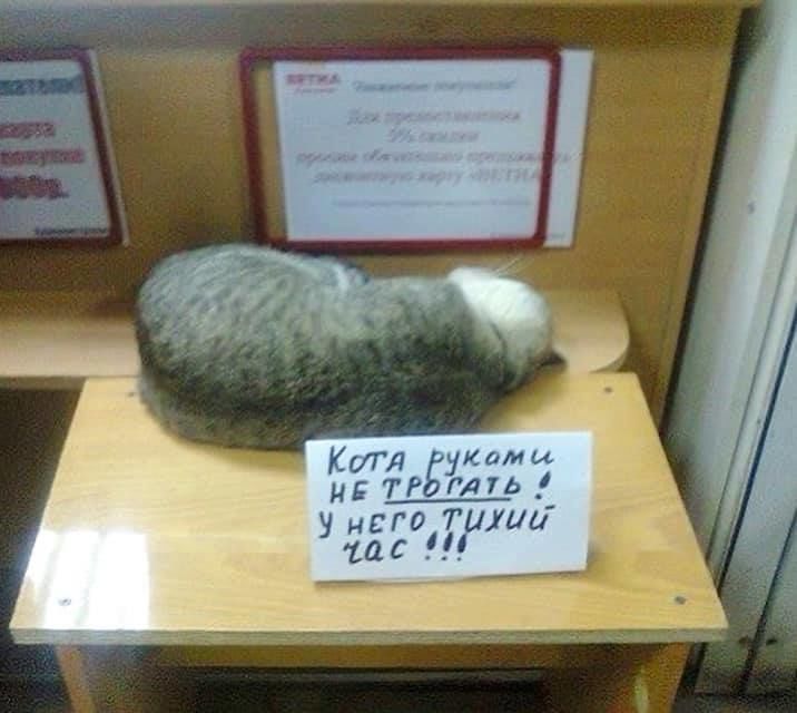 Кафе "У пани Сони"