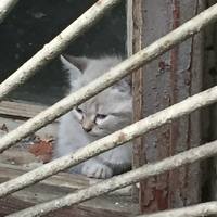 VFL.RU - ваш фотохостинг