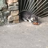 VFL.RU - ваш фотохостинг