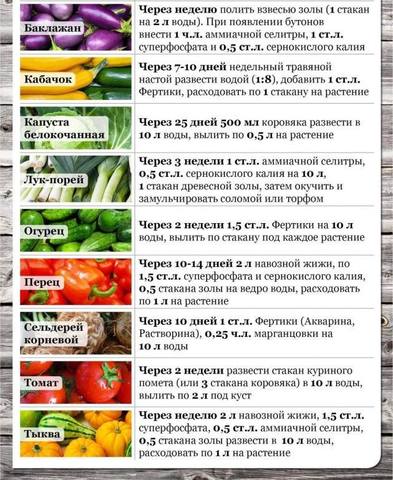 Возьмите шефство над новичком (садоводом-огородником)