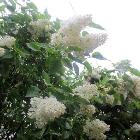 VFL.RU - ваш фотохостинг VFL.RU - ваш фотохостинг