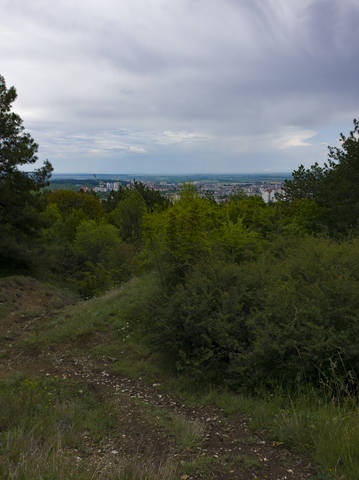 Публикувано изображение