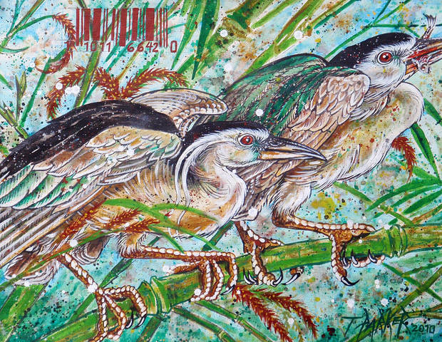 watchers timothy-parker