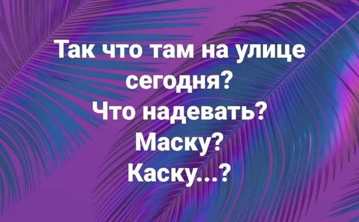 Новости Петербурга и юмор Новости Петербурга и юмор